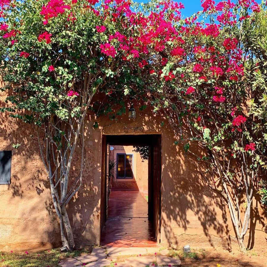 La Ferme Berbere Adult Only Bed & Breakfast El Harkat Exterior foto