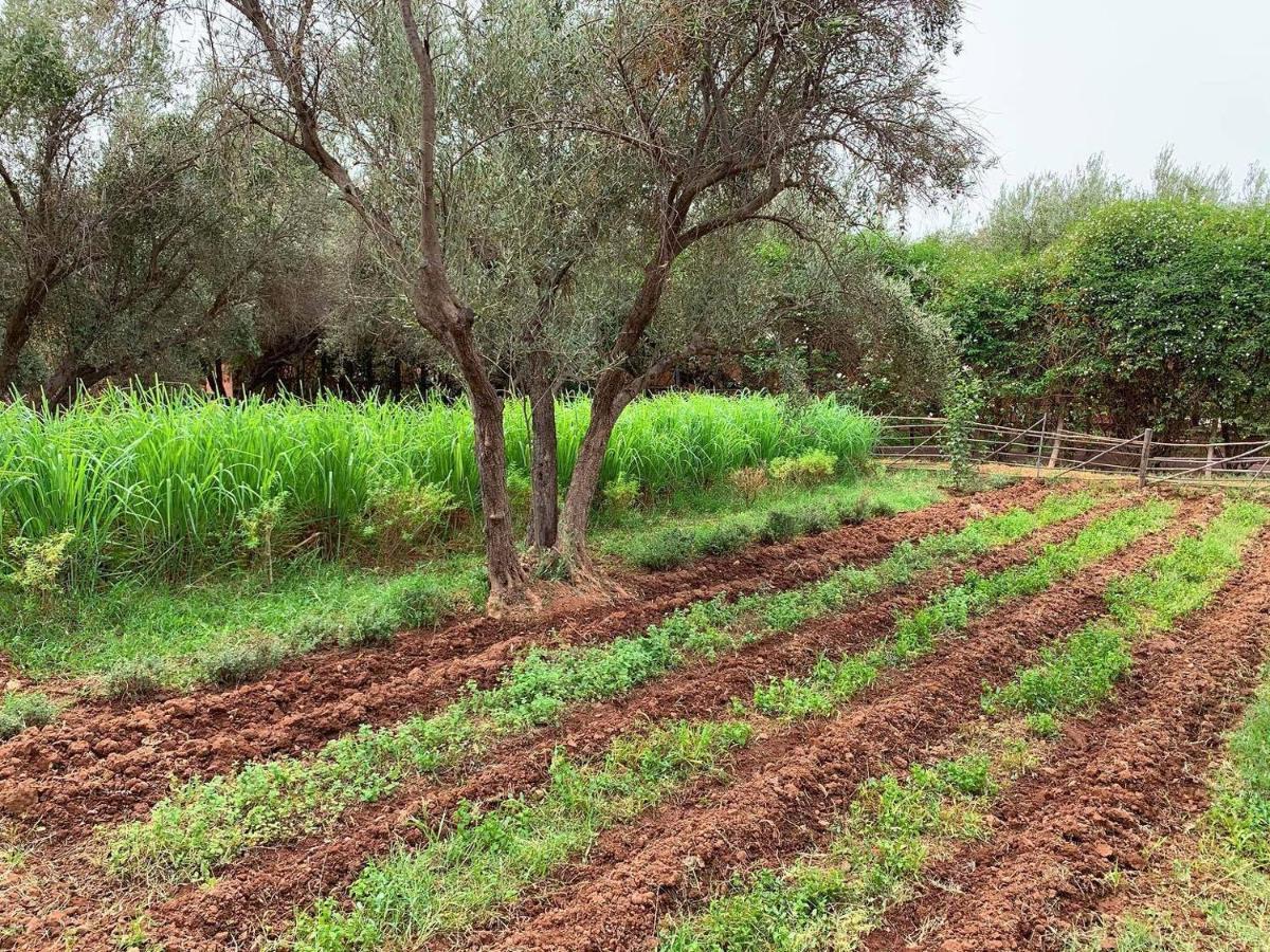 La Ferme Berbere Adult Only Bed & Breakfast El Harkat Exterior foto