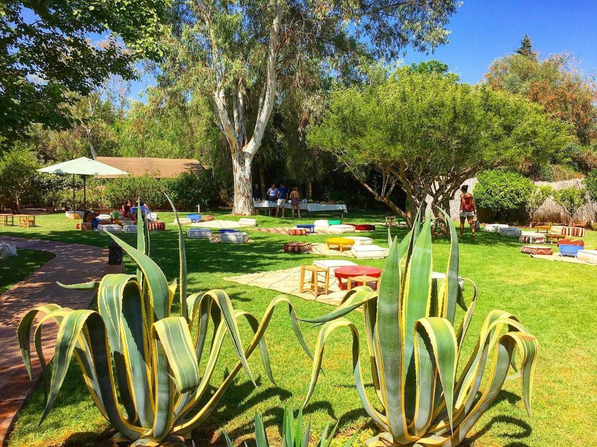 La Ferme Berbere Adult Only Bed & Breakfast El Harkat Exterior foto