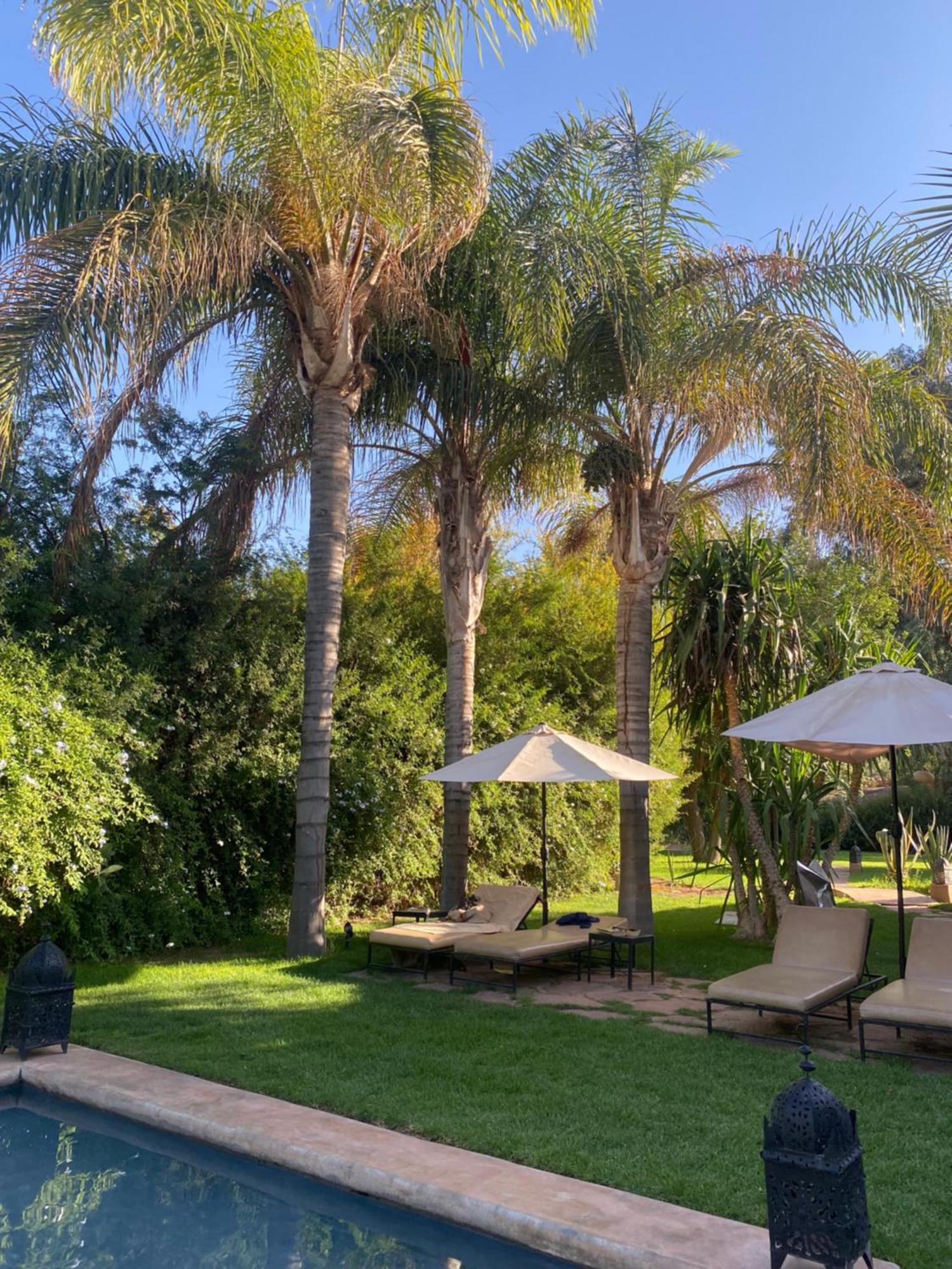 La Ferme Berbere Adult Only Bed & Breakfast El Harkat Exterior foto